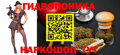 стафф Будённовск