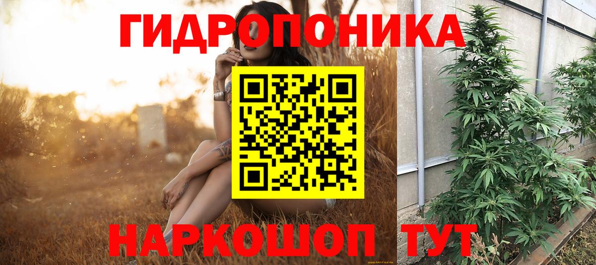 Шишки марихуана конопля Протвино