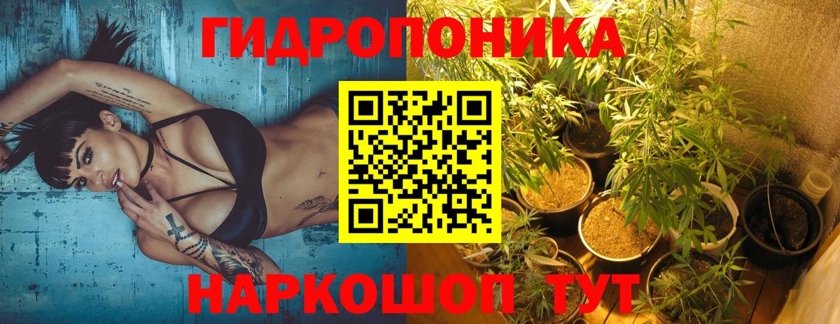 Бошки марихуана Bruce Banner  Шишки марихуана индика  Вход с VPN  Протвино  Марихуана Bruce Banner 